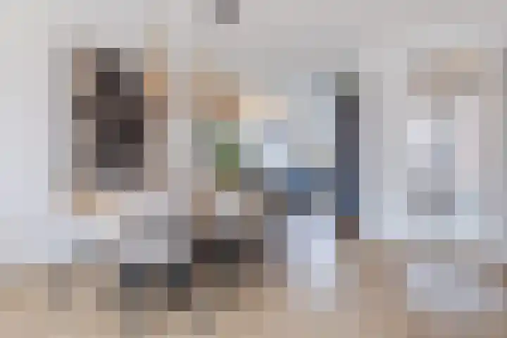 Dwingel 22 Steenbergen thumbnail 16