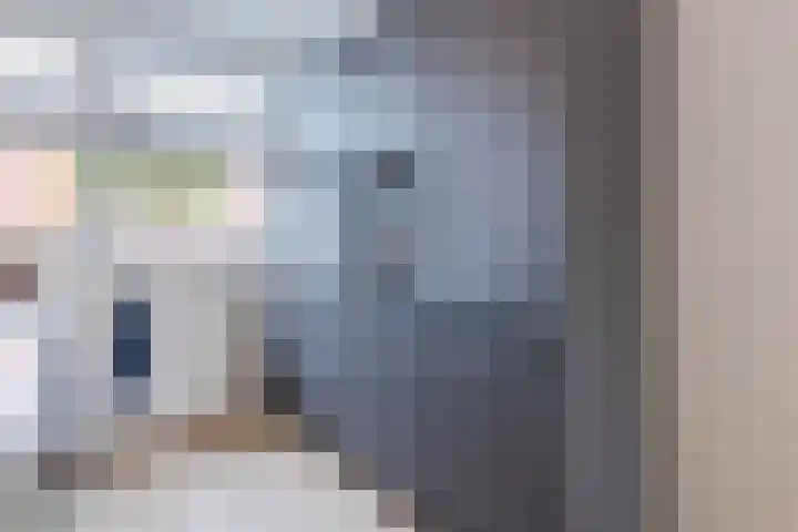 Dwingel 22 Steenbergen thumbnail 18