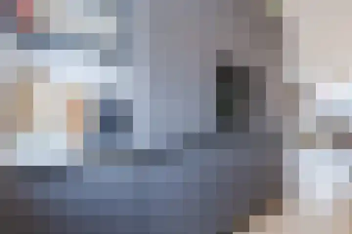 Dwingel 22 Steenbergen thumbnail 19