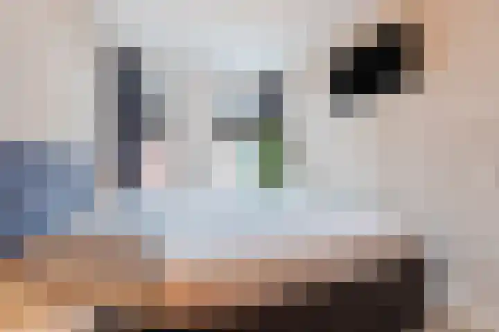 Dwingel 22 Steenbergen thumbnail 25