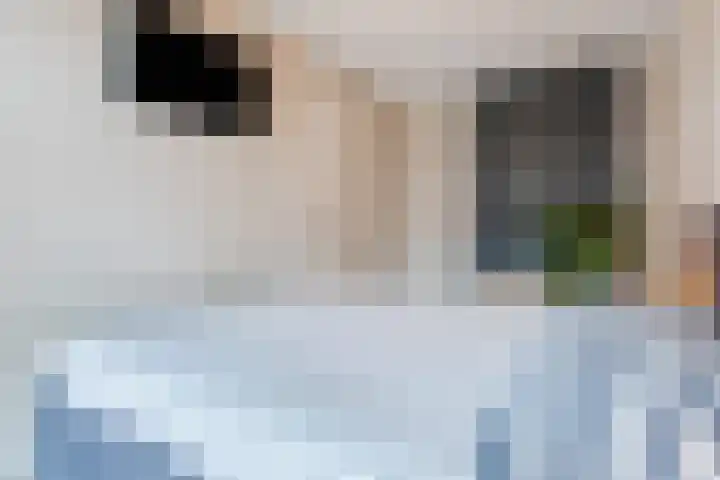 Dwingel 22 Steenbergen thumbnail 26