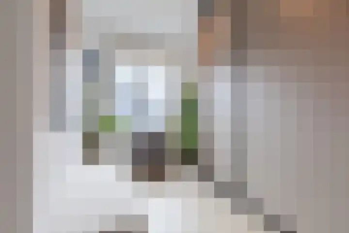 Dwingel 22 Steenbergen thumbnail 27