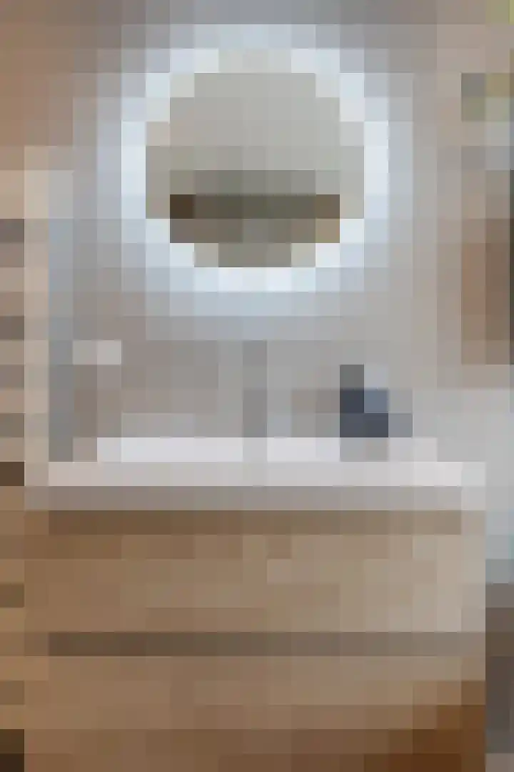 Dwingel 22 Steenbergen thumbnail 34