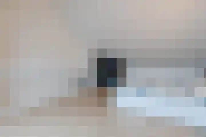 Dwingel 22 Steenbergen thumbnail 39