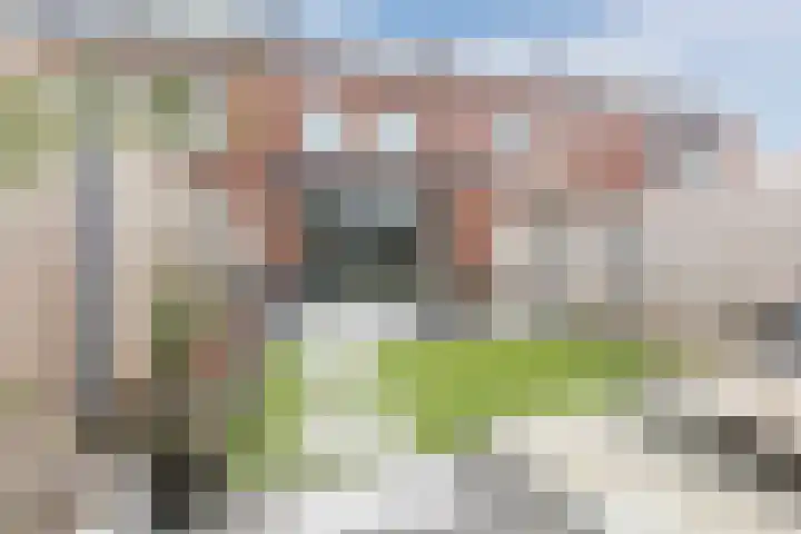 Dwingel 22 Steenbergen thumbnail 42