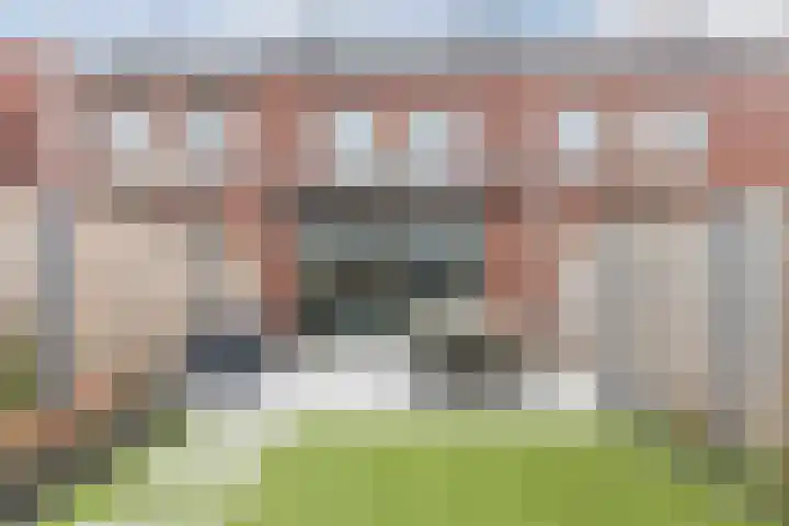 Dwingel 22 Steenbergen thumbnail 43
