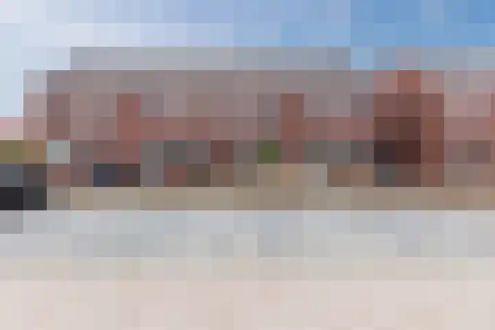Dwingel 22 Steenbergen thumbnail 6