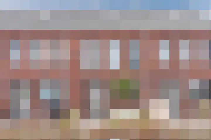 Dwingel 22 Steenbergen thumbnail 7