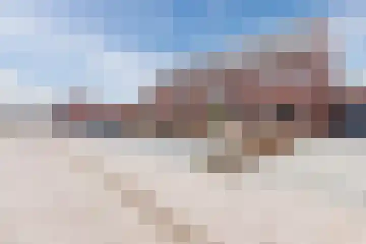 Dwingel 22 Steenbergen thumbnail 8