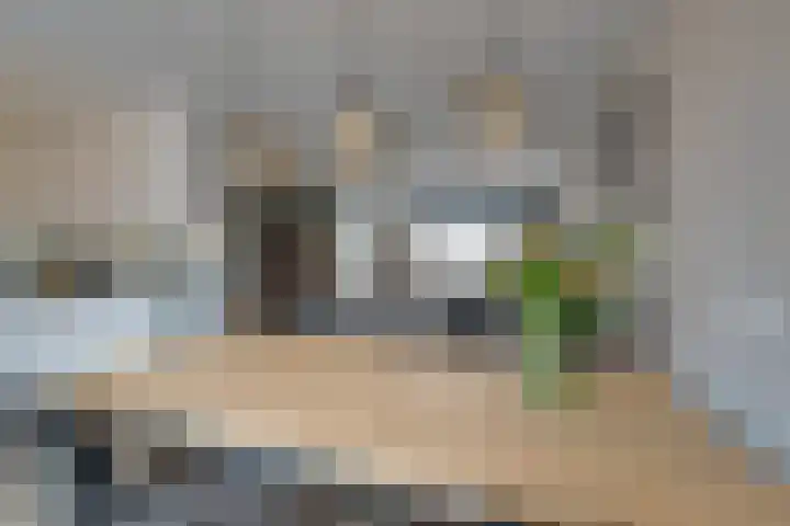 Dwingel 31 De Goorn thumbnail 20