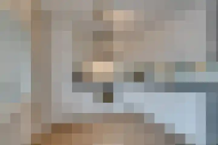 Dwingel 31 De Goorn thumbnail 22
