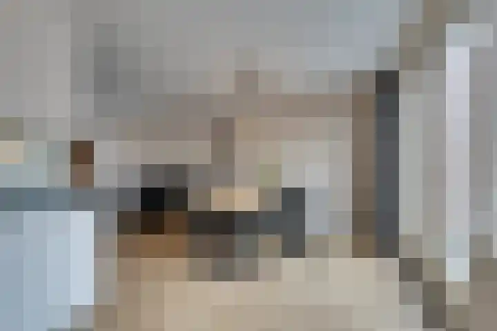 Dwingel 31 De Goorn thumbnail 25