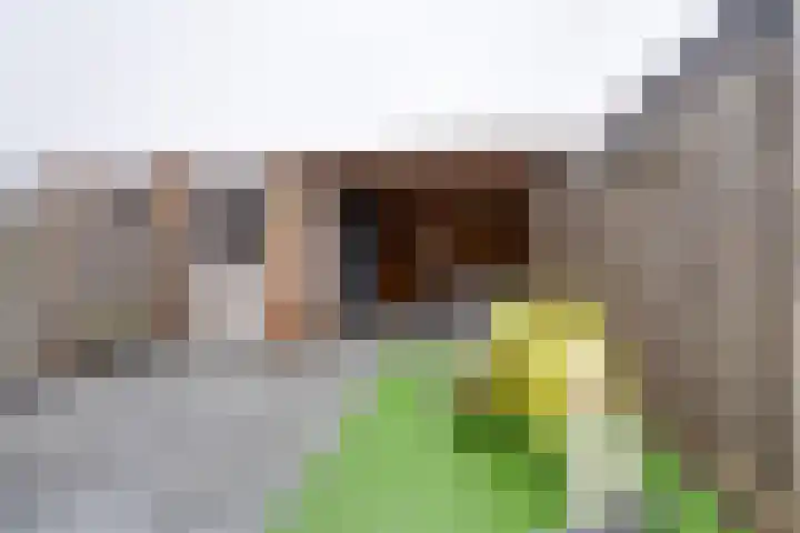 Dwingel 31 De Goorn thumbnail 27