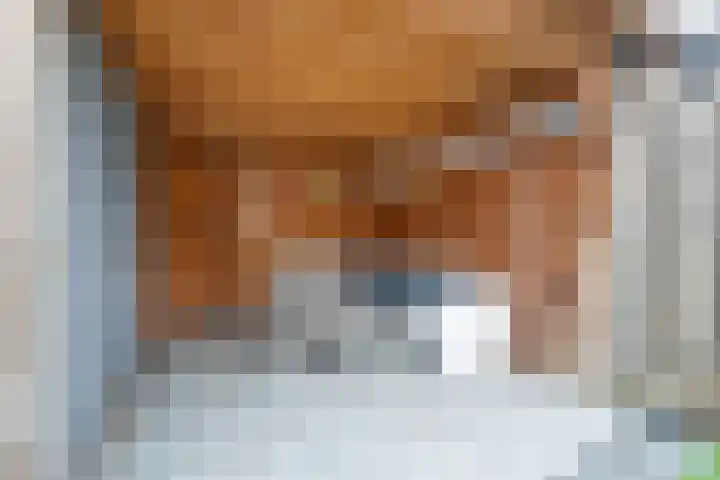 Dwingel 31 De Goorn thumbnail 28