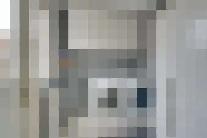 Dwingel 31 De Goorn thumbnail 31