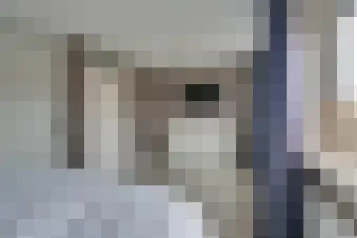 Dwingel 31 De Goorn thumbnail 36