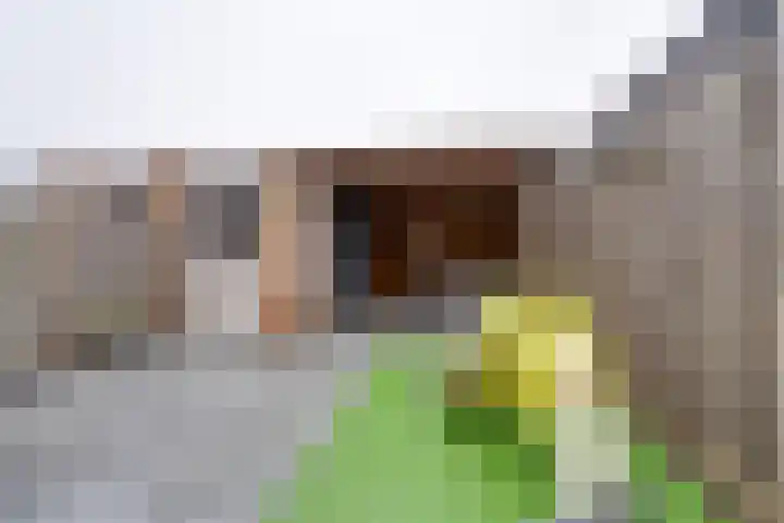 Dwingel 31 De Goorn thumbnail 4
