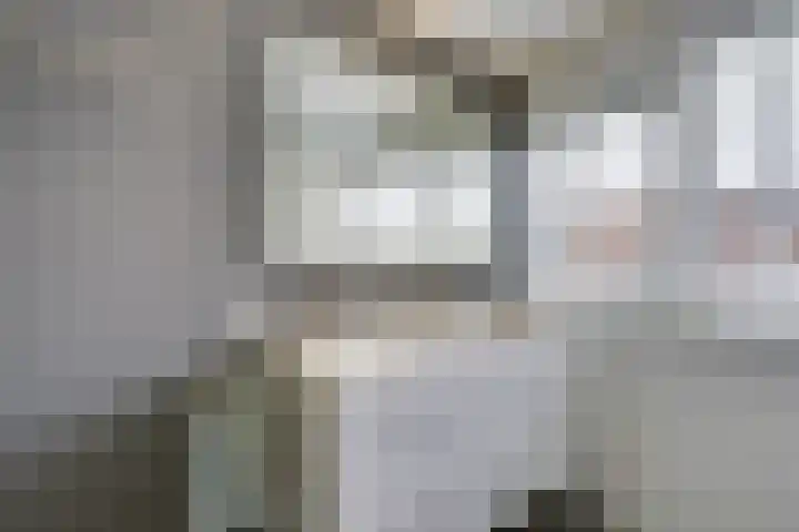 Dwingel 31 De Goorn thumbnail 42