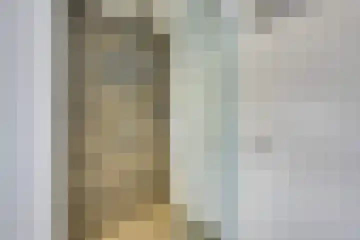 Dwingel 31 De Goorn thumbnail 43
