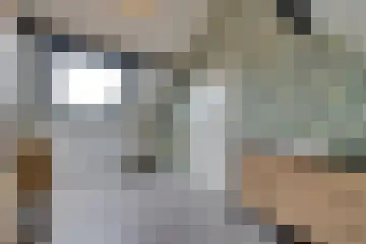 Dwingel 31 De Goorn thumbnail 44
