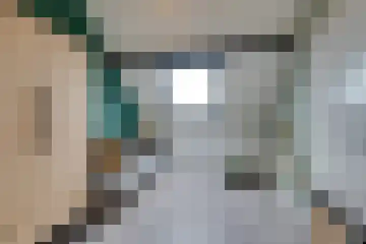 Dwingel 31 De Goorn thumbnail 46