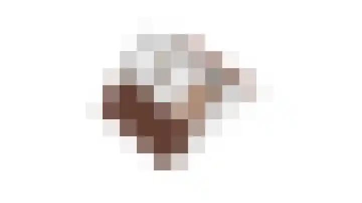 Dwingel 31 De Goorn thumbnail 59