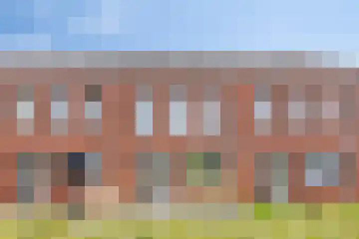 Dwingel 6 Steenbergen