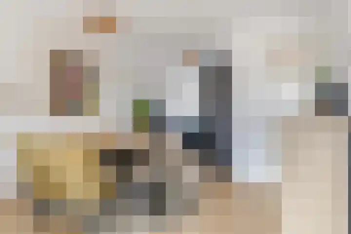 Dwingel 6 Steenbergen thumbnail 10