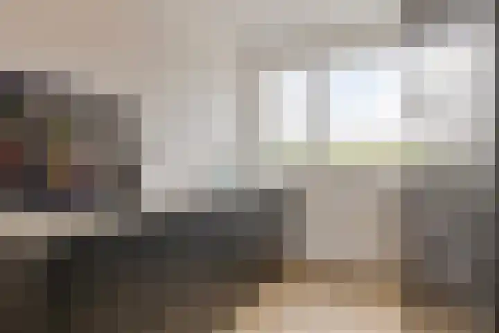 Dwingel 6 Steenbergen thumbnail 11