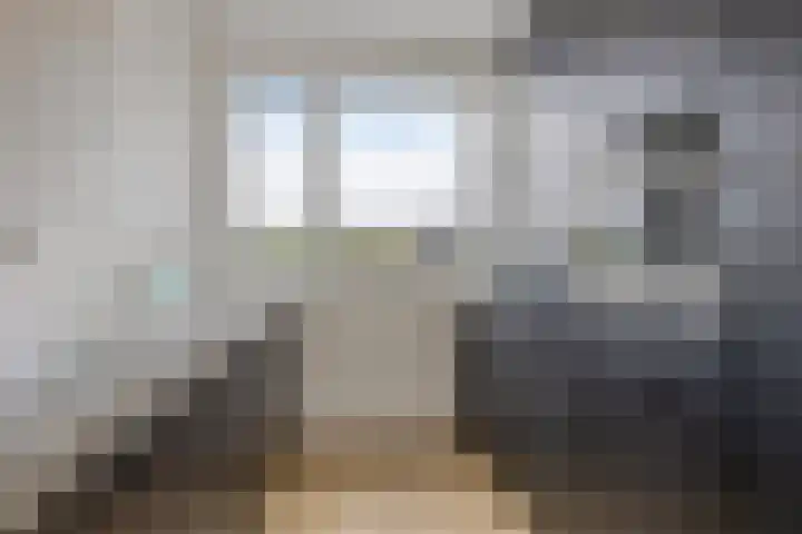 Dwingel 6 Steenbergen thumbnail 12
