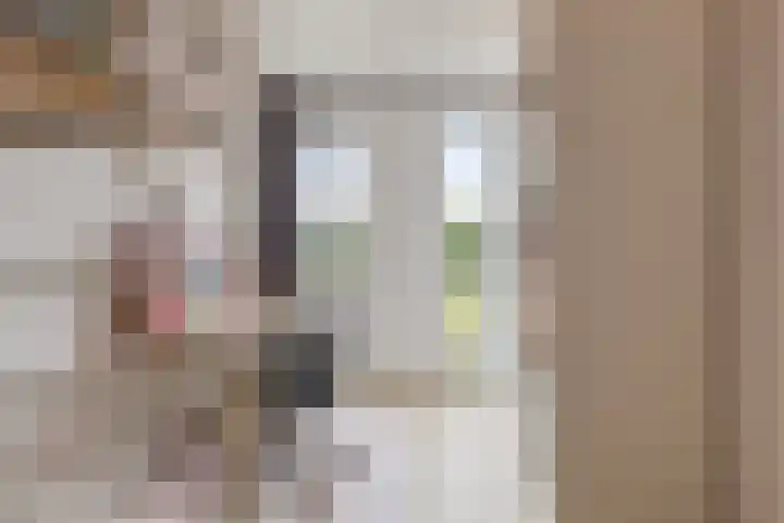 Dwingel 6 Steenbergen thumbnail 15