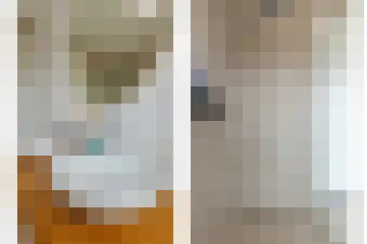 Dwingel 6 Steenbergen thumbnail 18