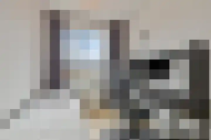 Dwingel 6 Steenbergen thumbnail 19