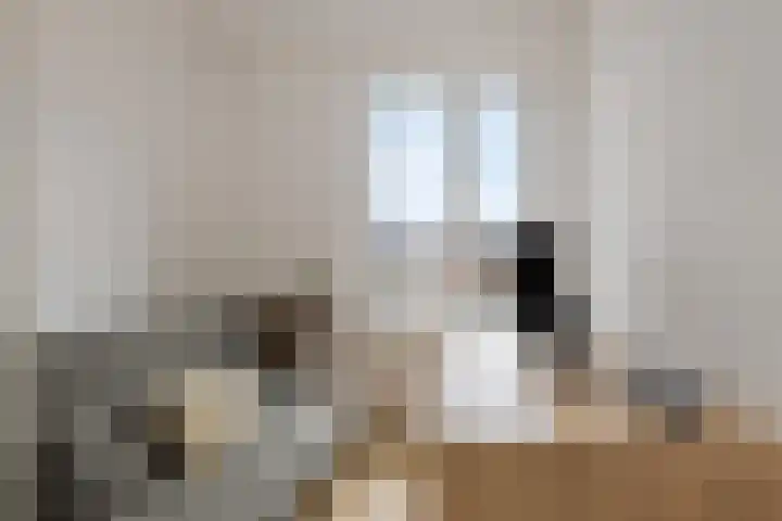 Dwingel 6 Steenbergen thumbnail 21