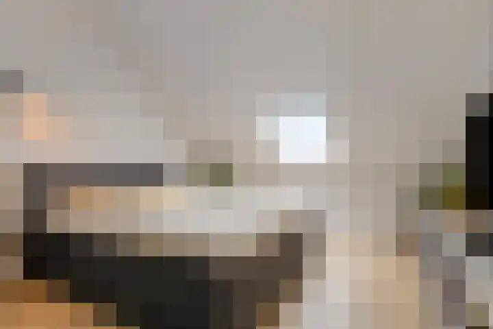 Dwingel 6 Steenbergen thumbnail 22