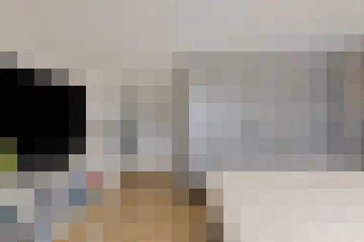 Dwingel 6 Steenbergen thumbnail 23