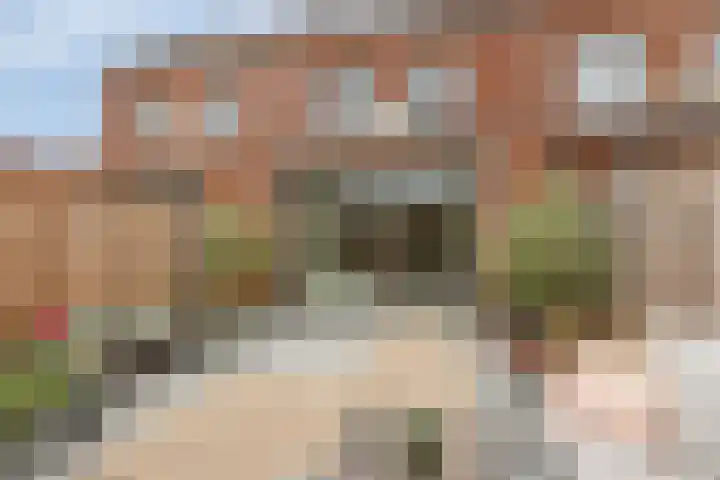 Dwingel 6 Steenbergen thumbnail 24