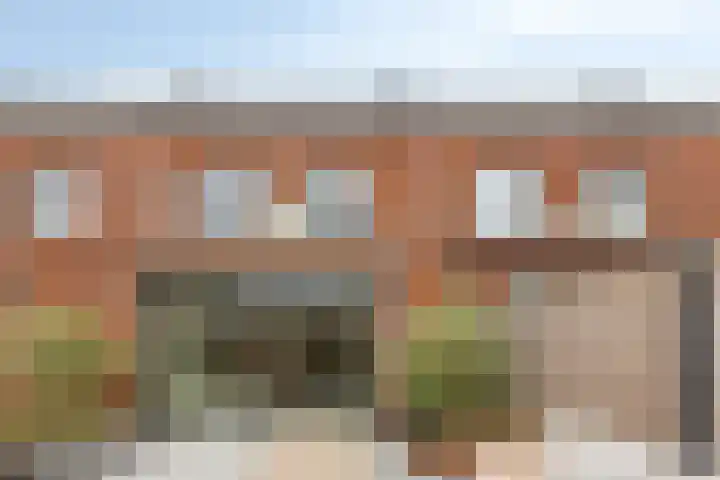 Dwingel 6 Steenbergen thumbnail 25