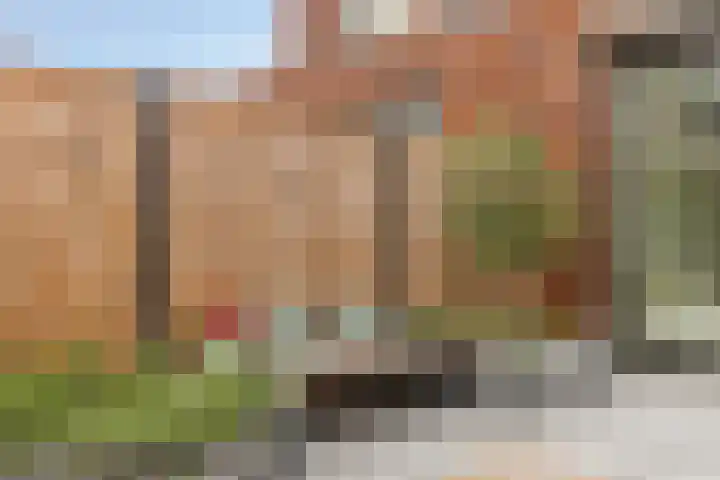 Dwingel 6 Steenbergen thumbnail 26