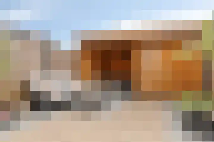 Dwingel 6 Steenbergen thumbnail 27
