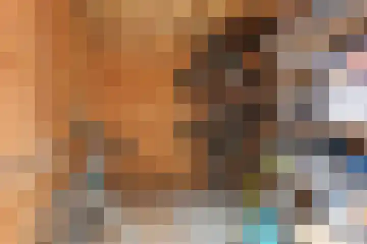 Dwingel 6 Steenbergen thumbnail 29