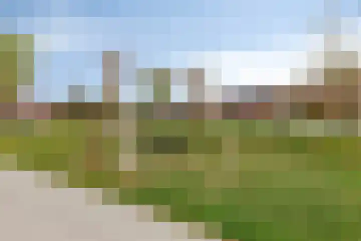 Dwingel 6 Steenbergen thumbnail 31