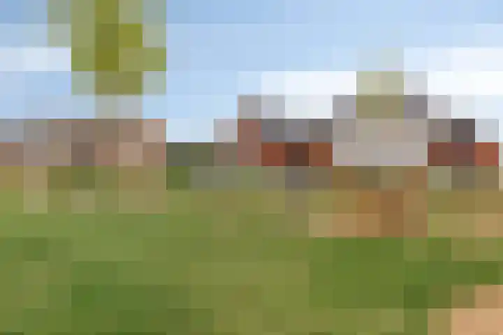 Dwingel 6 Steenbergen thumbnail 32