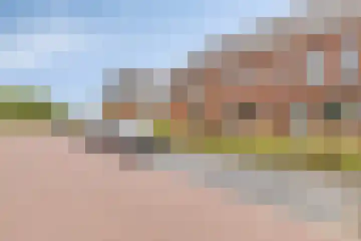 Dwingel 6 Steenbergen thumbnail 33