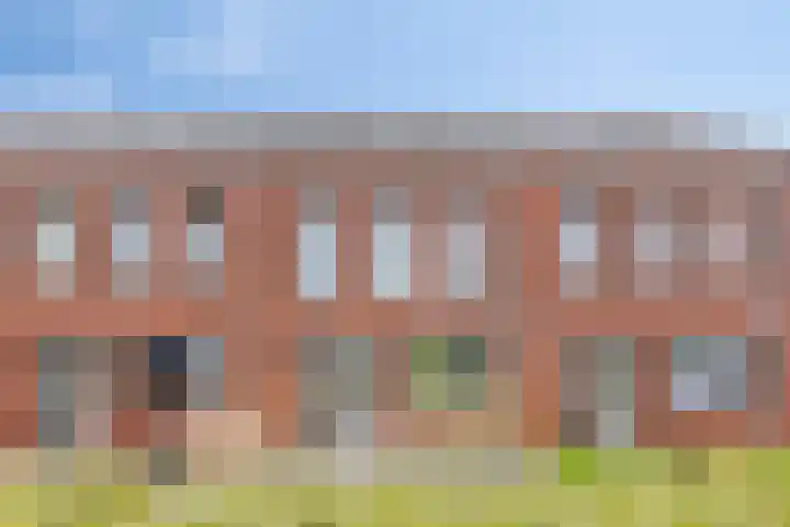 Dwingel 6 Steenbergen thumbnail 38