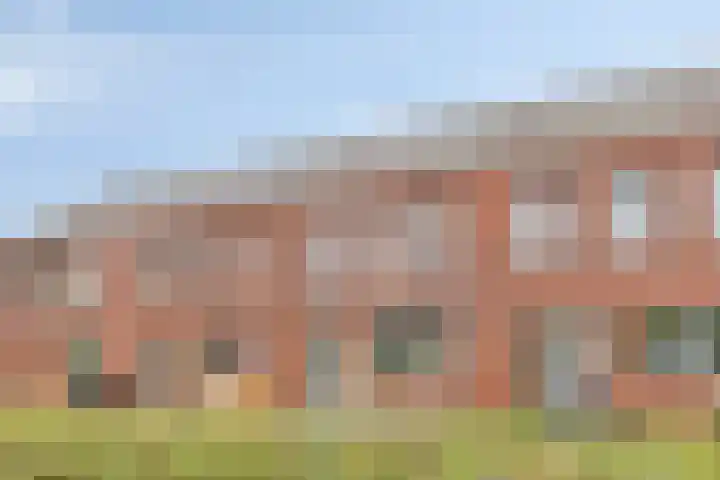 Dwingel 6 Steenbergen thumbnail 4