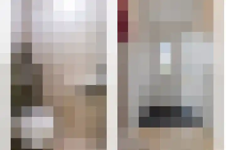Dwingel 6 Steenbergen thumbnail 6