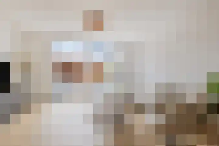 Dwingel 6 Steenbergen thumbnail 7