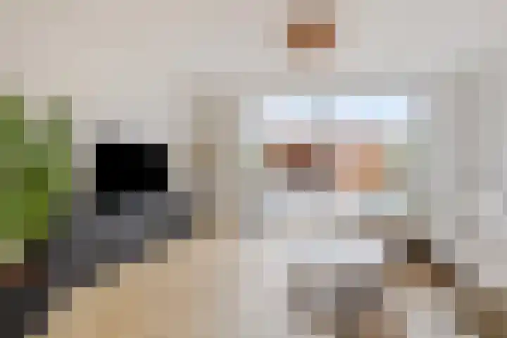 Dwingel 6 Steenbergen thumbnail 8