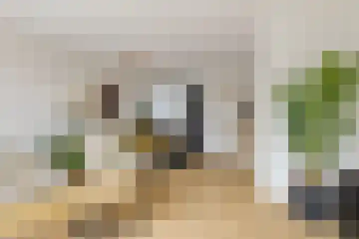 Dwingel 6 Steenbergen thumbnail 9
